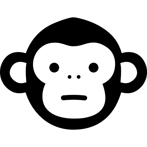 Safari Konsept